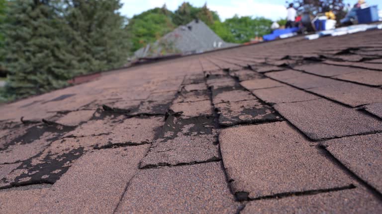 Best Wood Shake Roofing  in East Sonora, CA